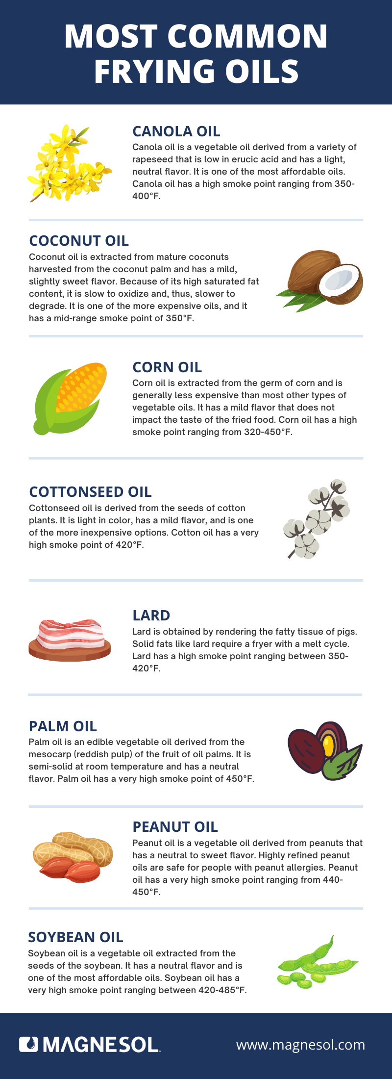 Most Common Frying Oils